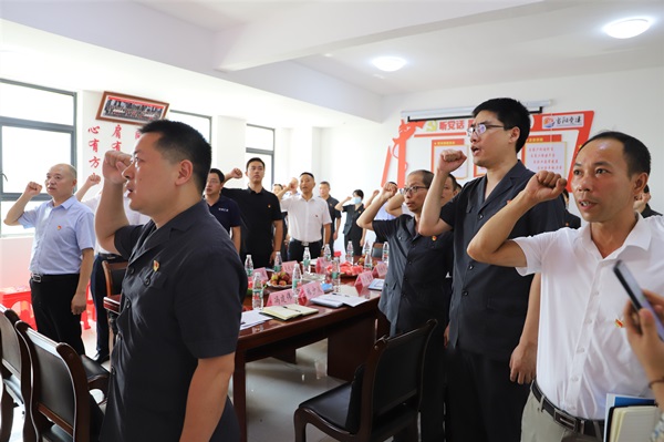 配图当阳法院第三党支部与双莲工业园党支部联合开展主题党日-宣誓_副本.jpg